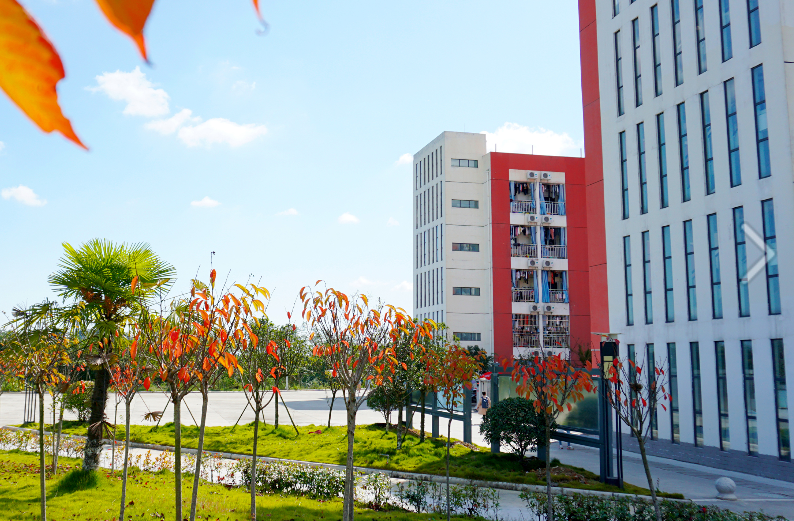 四川幼兒師范高等?？茖W(xué)校校園一角