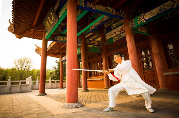 武術(shù)專業(yè) 武術(shù)專業(yè)