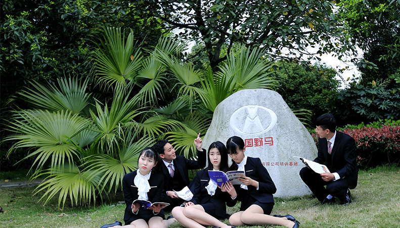 成都汽車職業(yè)技術(shù)學(xué)校