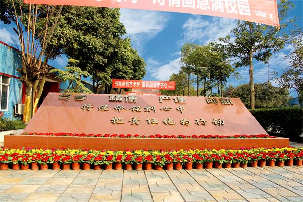 棠湖科學(xué)技術(shù)學(xué)校 棠湖科學(xué)技術(shù)學(xué)校