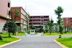 2020年成都職業(yè)學(xué)校四川商貿(mào)職業(yè)學(xué)校招生簡章招生條件