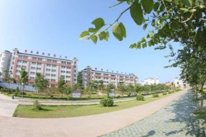 四川職業(yè)院校單招|2020年四川交通職業(yè)技術(shù)學(xué)院單獨(dú)招生考試大綱