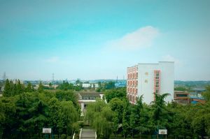 眉山工程技師學院