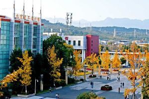 2021年四川幼兒師范高等?？茖W校招生簡章|招生專業(yè)