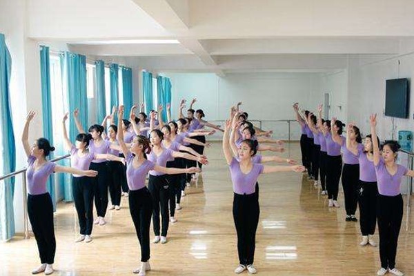 學藝術有什么專業(yè)