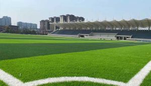 眉山市青神中學(xué)