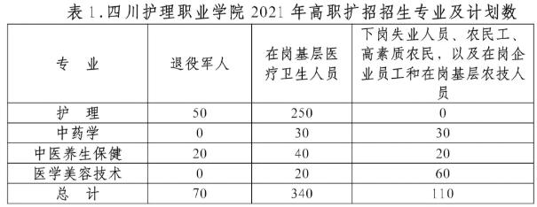 四川護(hù)理職業(yè)學(xué)院高職擴(kuò)招專業(yè)計劃
