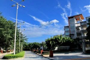 成都市龍泉中學校