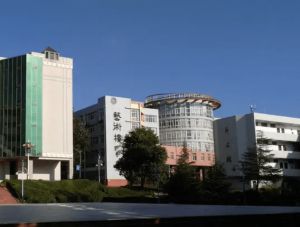 西昌學(xué)院是公辦還是民辦大學(xué)