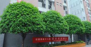 2023四川興科城市交通高級(jí)技工學(xué)校招生計(jì)劃_學(xué)?？诒脝? />              </div>
              <div   id=