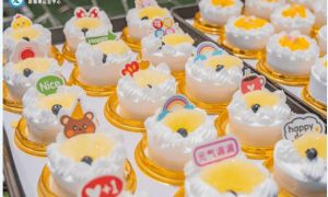 四川興科城市交通高級(jí)技工學(xué)校2023年就業(yè)保障_報(bào)名條件