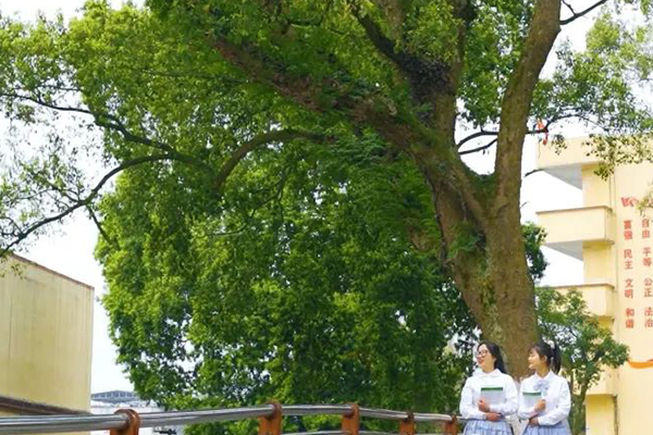 四川省合江縣職業(yè)高級(jí) 四川省合江縣職業(yè)高級(jí)