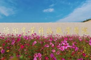 2024年德陽農(nóng)業(yè)科技職業(yè)學院開設專業(yè)_熱門專業(yè)介紹