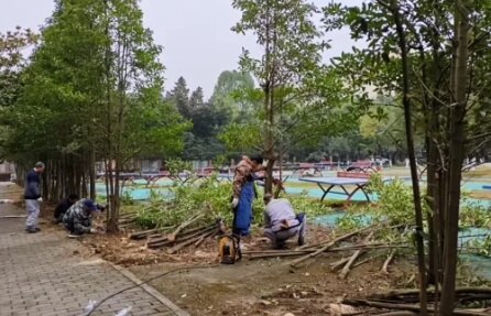 四川旅游學(xué)院